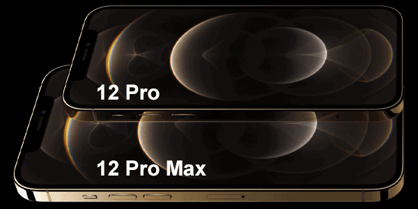 Display vom Apple iPhone 12 Pro Max